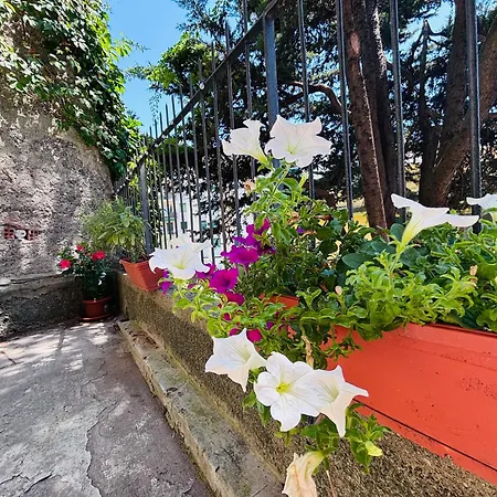 公寓 La Casetta Di Roby Con Giardino Privato 热那亚